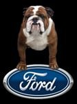 pic for FORD LOVIN BULLY